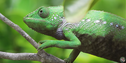 Scientific research trumps basic intuition and common sense.