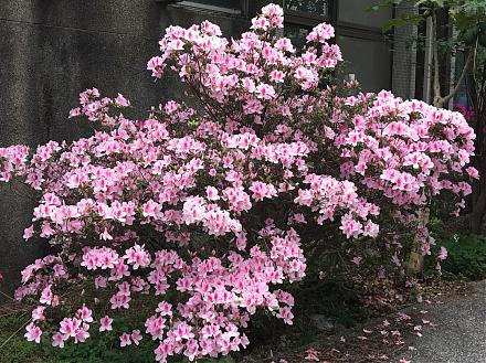 Macro eigenvalue volatility helps predict some recent episodes of high economic policy uncertainty.